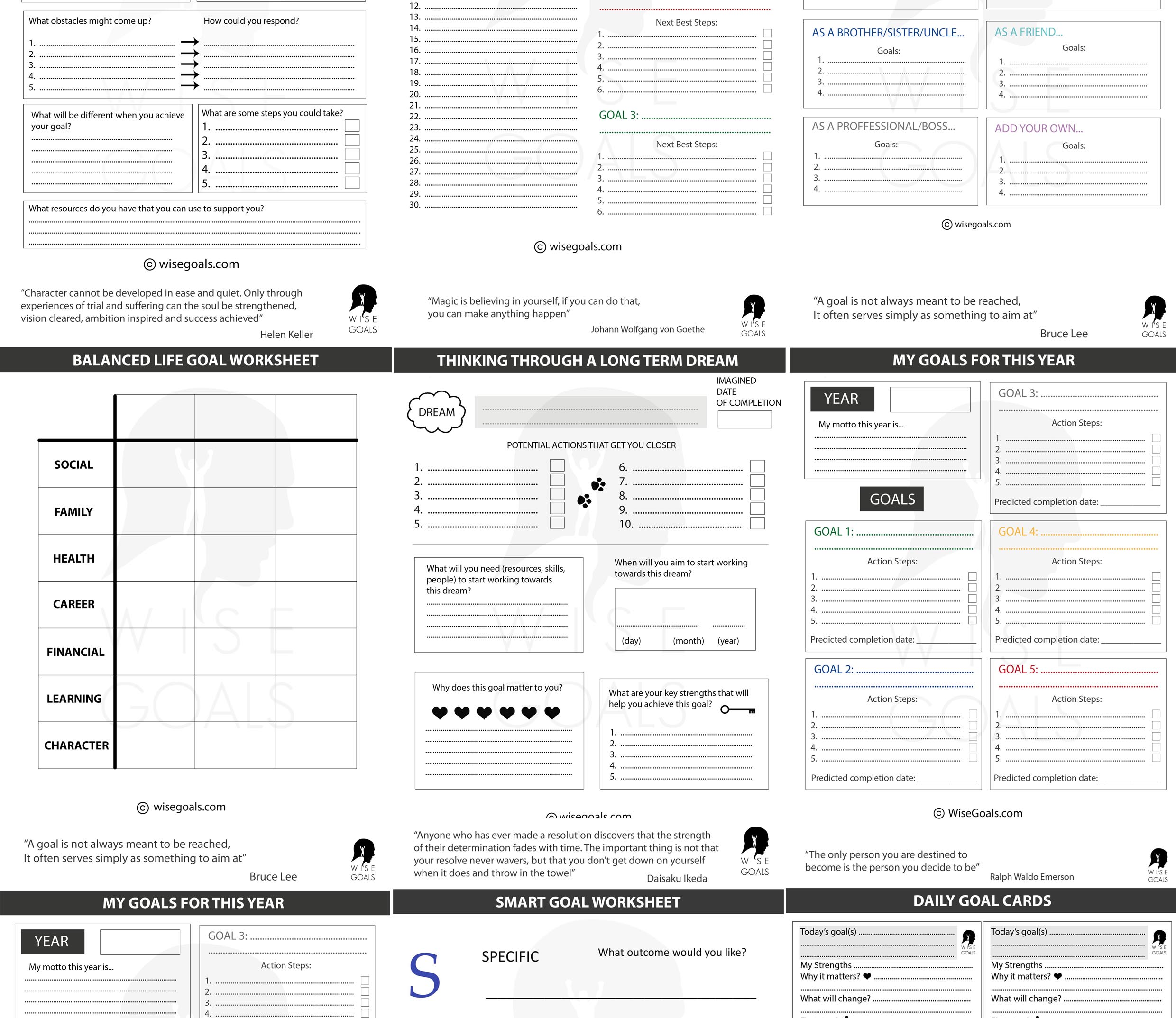 Selection of WiseGoals Goal Planning Worksheets