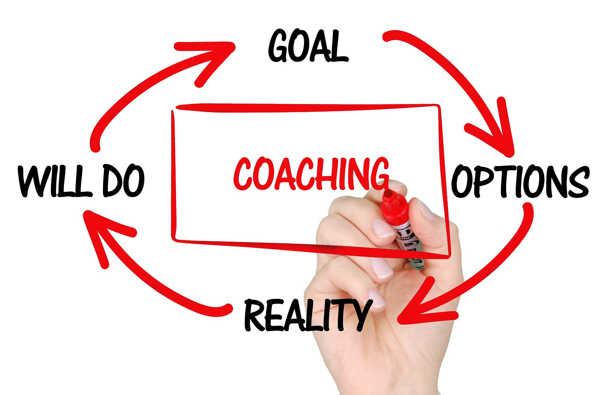 The coaching process